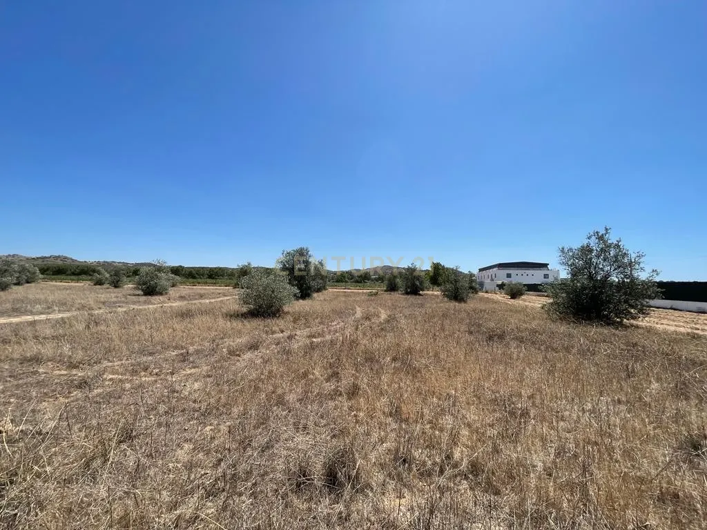 Terreno - Image 20