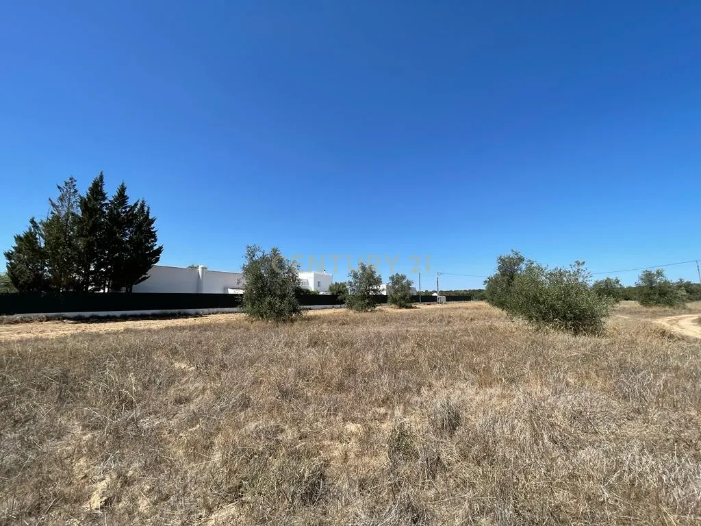 Terreno - Image 22