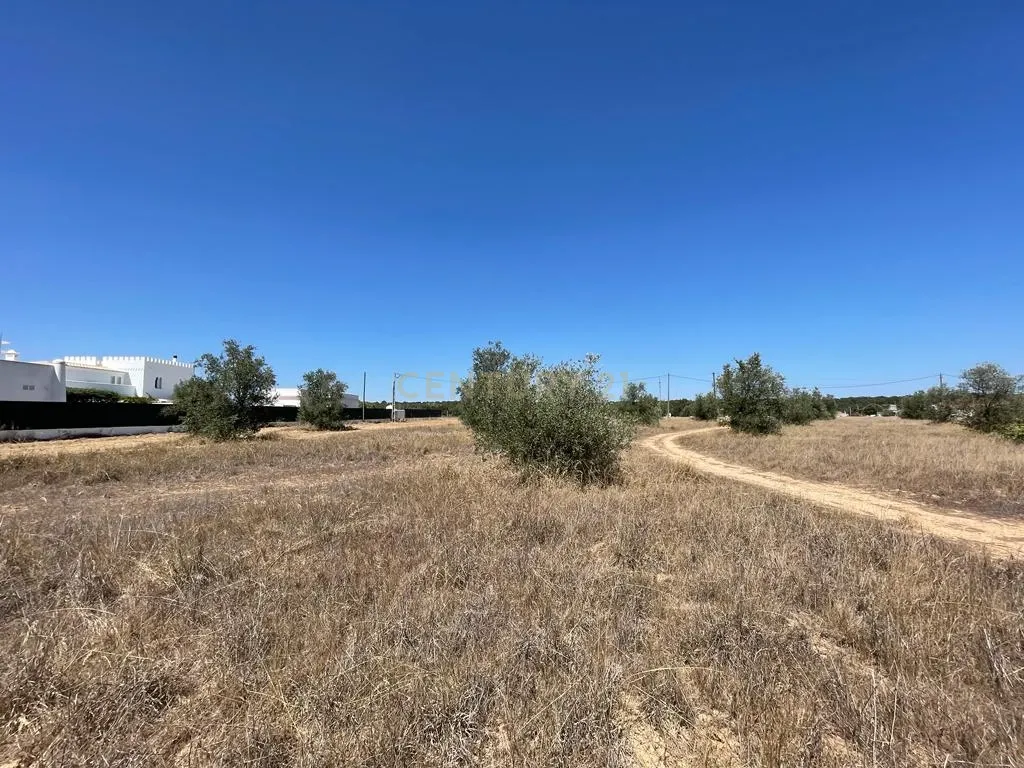 Terreno - Image 21