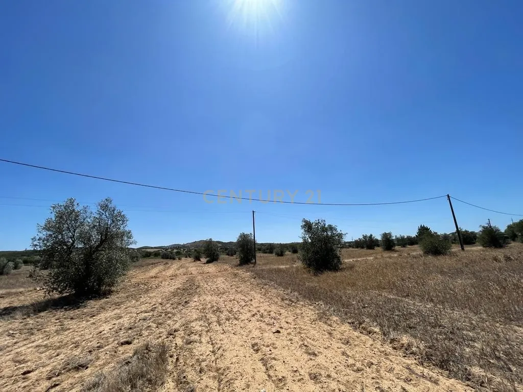 Terreno - Image 10