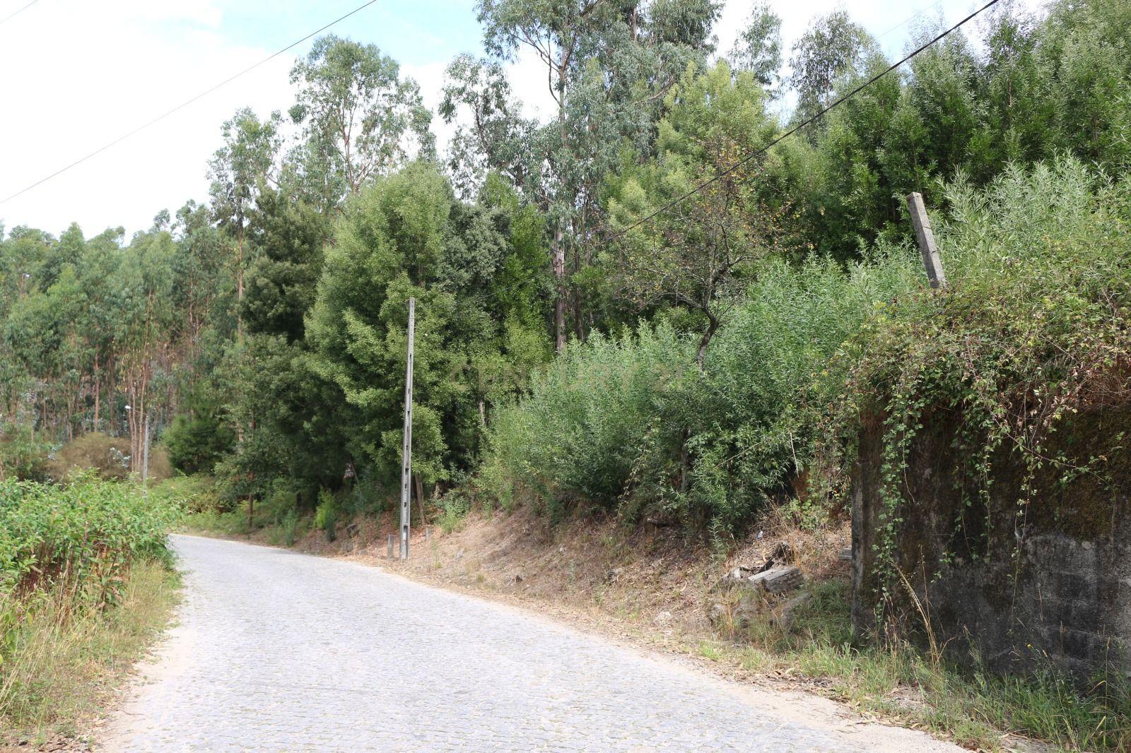 Terreno em Milhundos - Penafiel - Image 4
