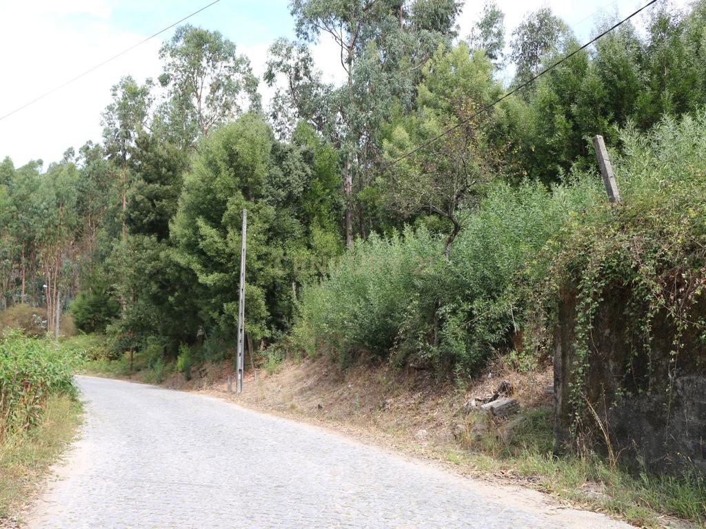Terreno em Milhundos - Penafiel - Image 4