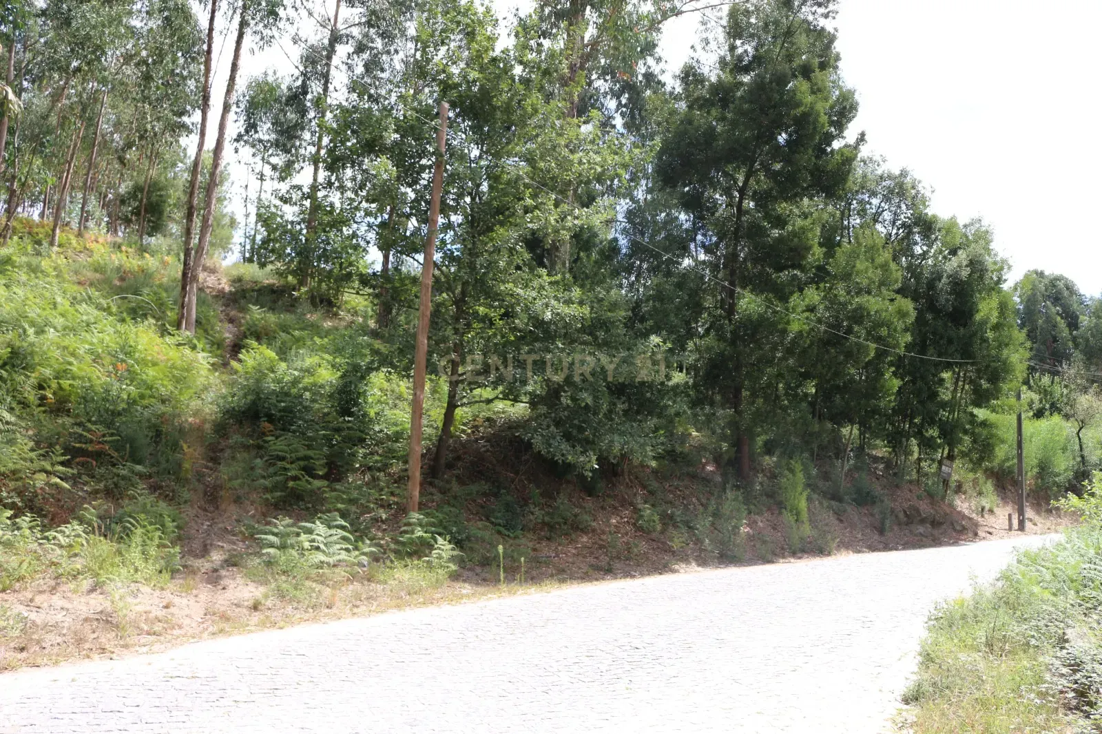 Terreno em Milhundos - Penafiel - Image 5