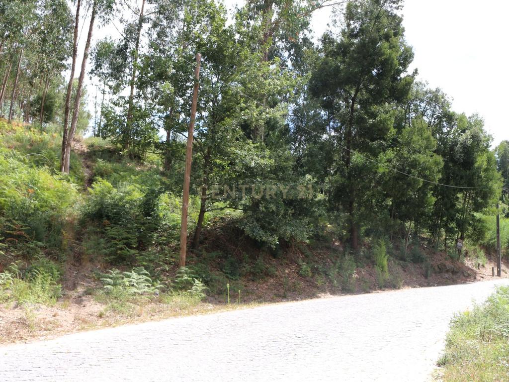 Terreno em Milhundos - Penafiel - Image 5