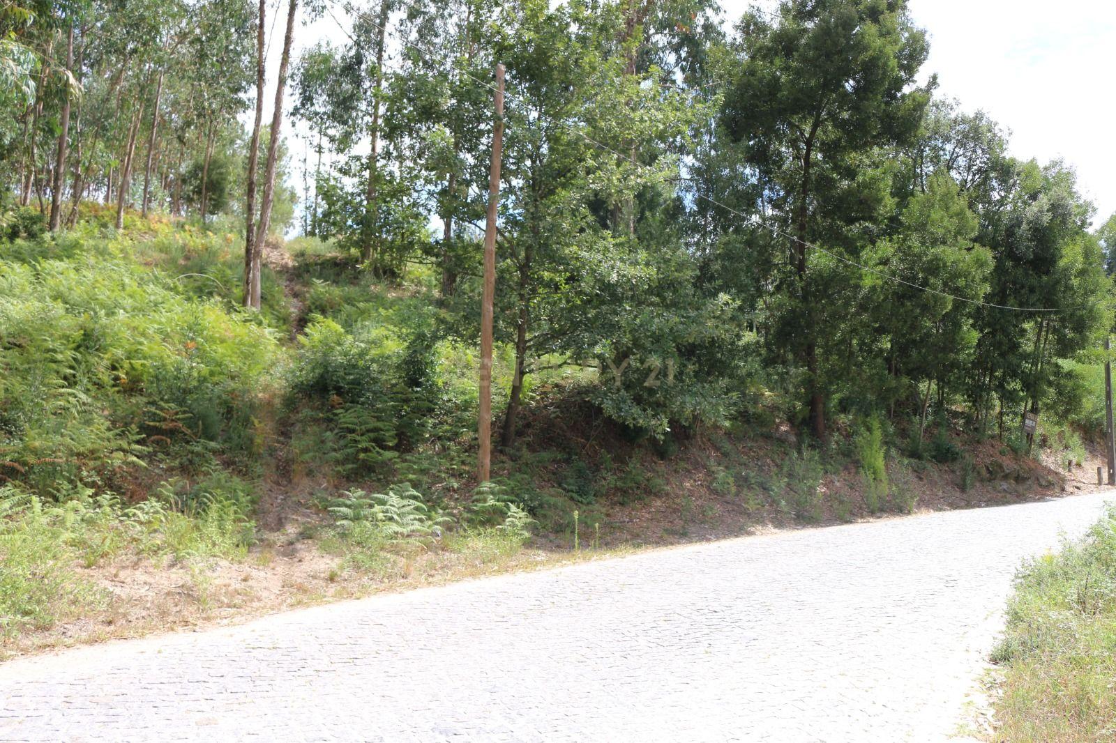 Terreno em Milhundos - Penafiel - Image 3
