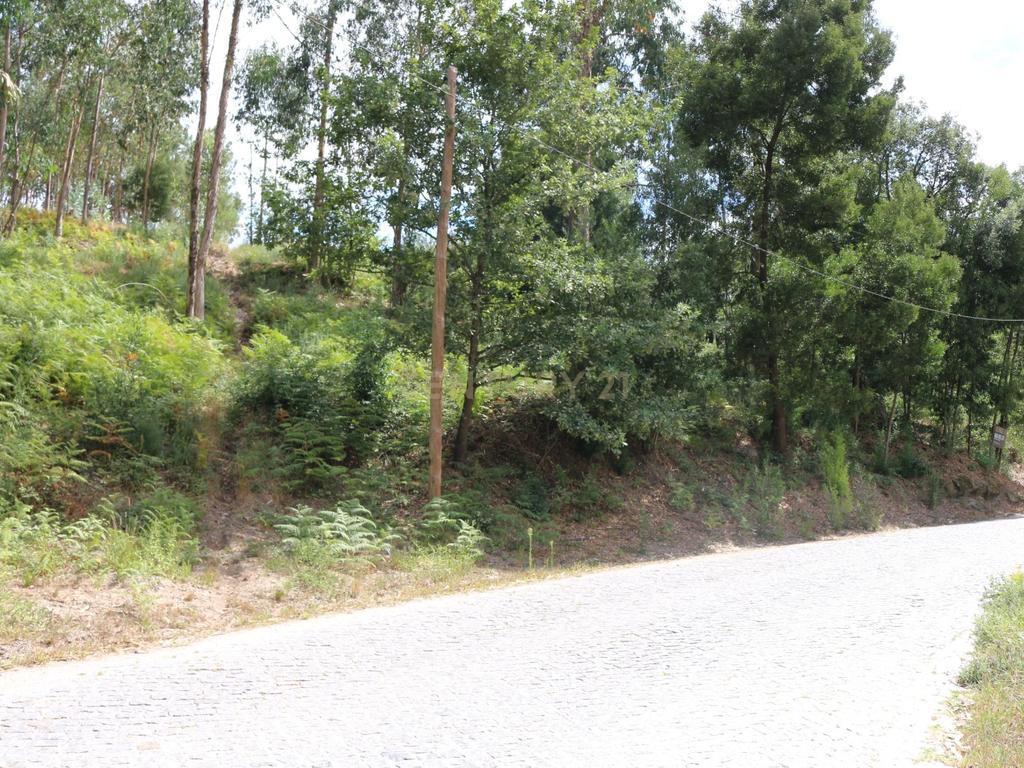 Terreno em Milhundos - Penafiel - Image 3