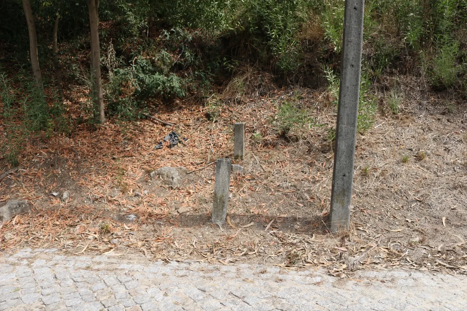 Terreno em Milhundos - Penafiel - Image 6
