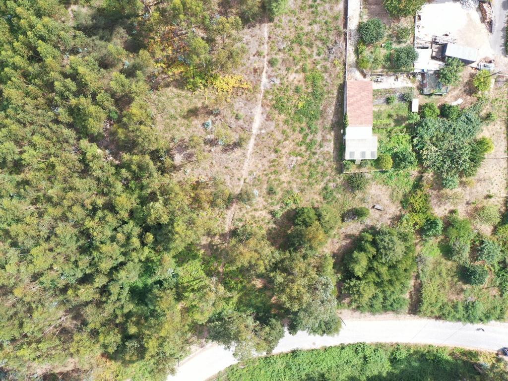 Terreno em Milhundos - Penafiel - Image 1