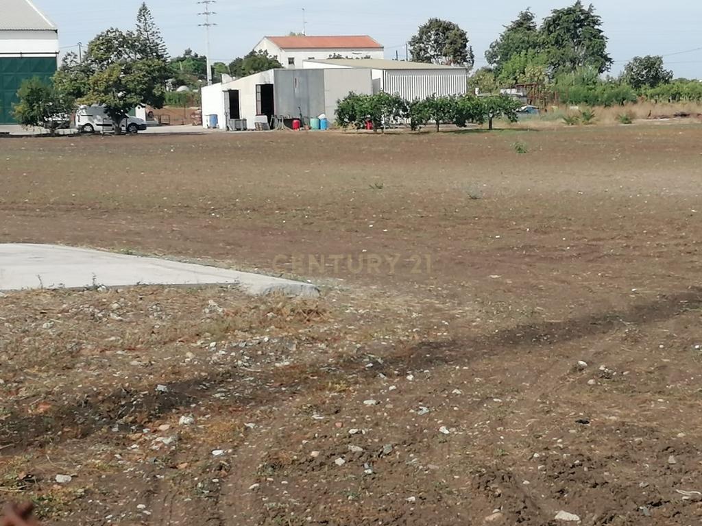 BEJA -ALENTEJO Zona privilegiada para o FUTURO  da Cidade , Arrisque ser o 1º. e Ficará a ganhar   DESTAQUE EM CURSO de 1 hectare . Áreas de Implantação cerca de 6000 m2 - Image 7
