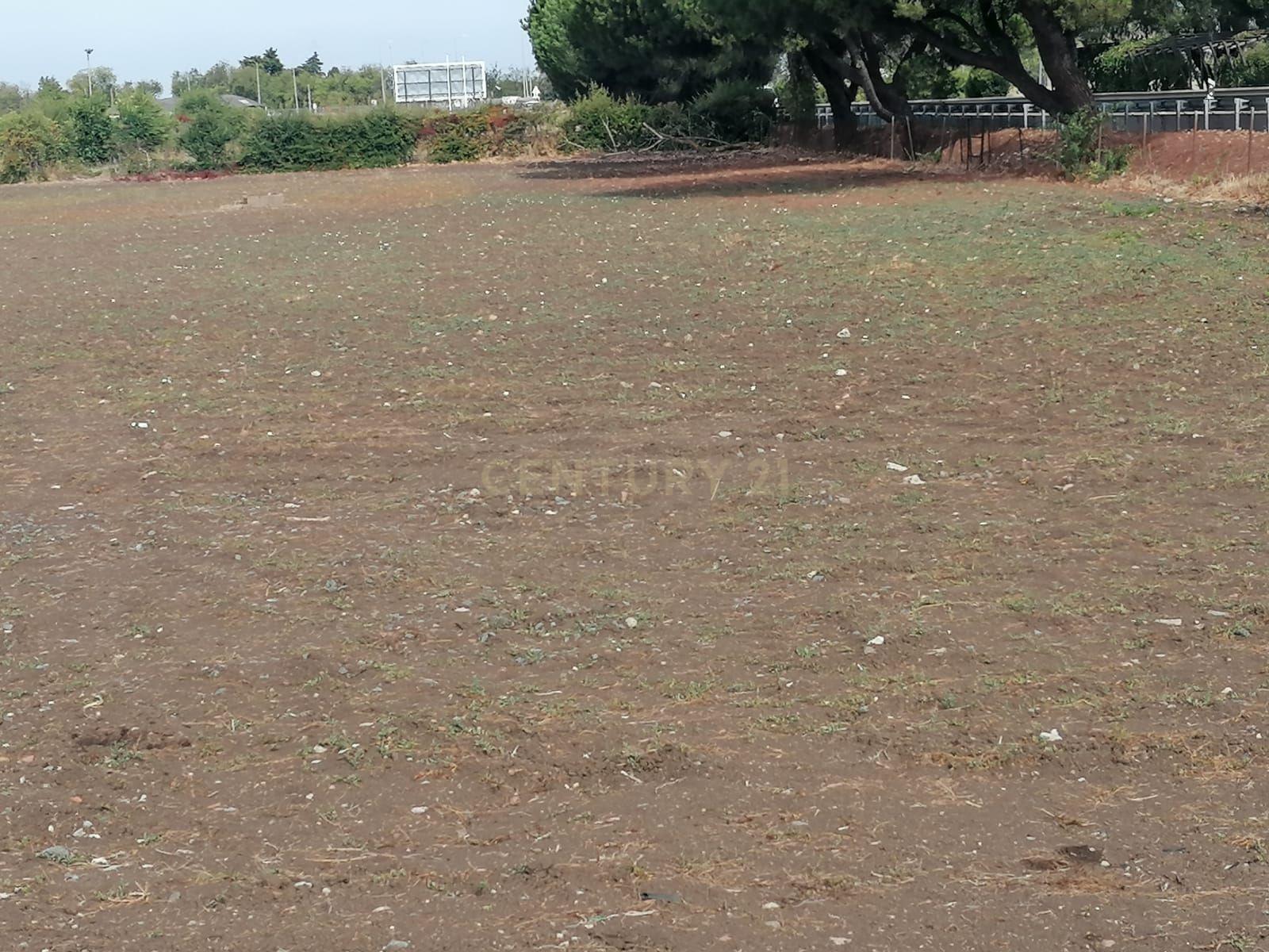 BEJA -ALENTEJO Zona privilegiada para o FUTURO da Cidade , Arrisque ser o 1º. e Ficará a ganhar DESTAQUE EM CURSO de 1 hectare . Áreas de Implantação cerca de 6000 m2 - Image 6