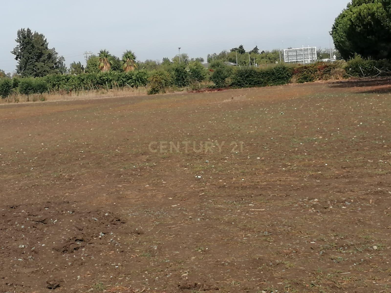BEJA -ALENTEJO Zona privilegiada para o FUTURO da Cidade , Arrisque ser o 1º. e Ficará a ganhar DESTAQUE EM CURSO de 1 hectare . Áreas de Implantação cerca de 6000 m2 - Image 5