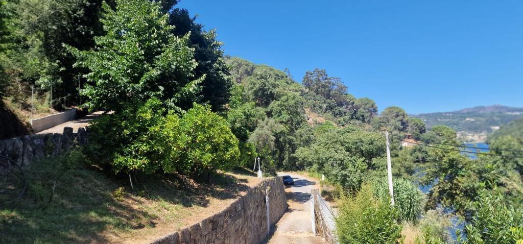 Fantástica Quinta com vistas sobre o Rio Douro - Marco de Canaveses - Image 65