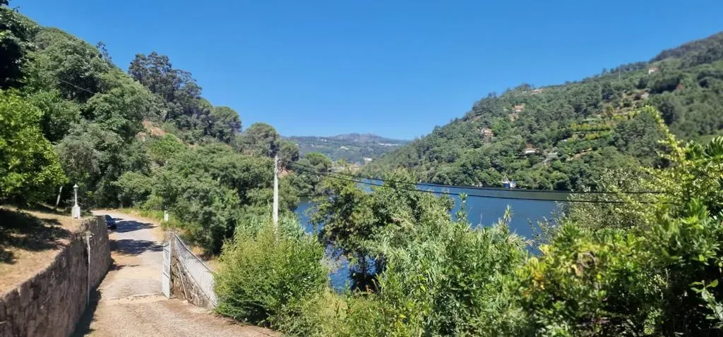 Fantástica Quinta com vistas sobre o Rio Douro - Marco de Canaveses - Image 59