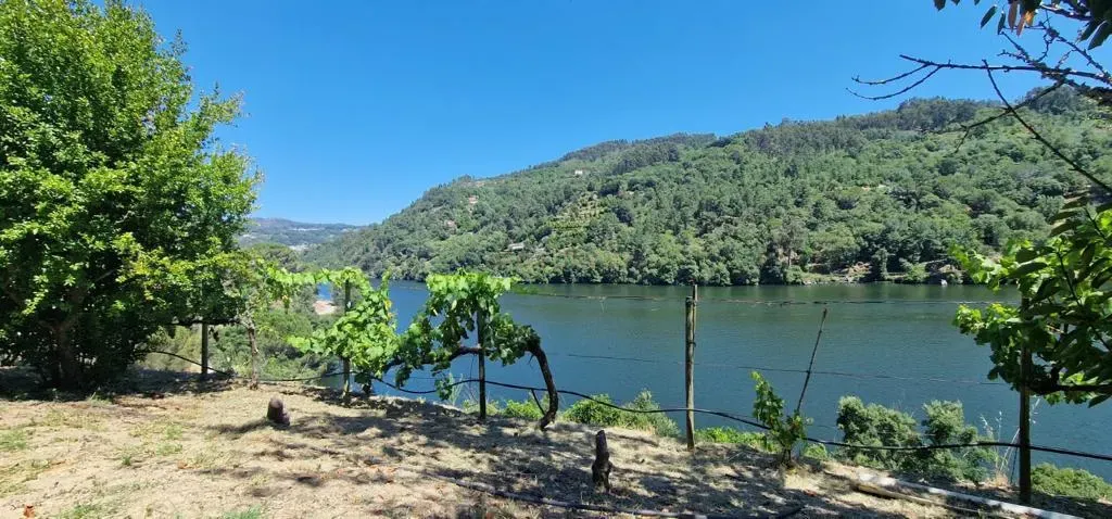 Fantástica Quinta com vistas sobre o Rio Douro - Marco de Canaveses - Image 77