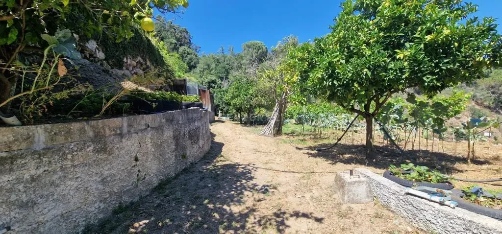 Fantástica Quinta com vistas sobre o Rio Douro - Marco de Canaveses - Image 64