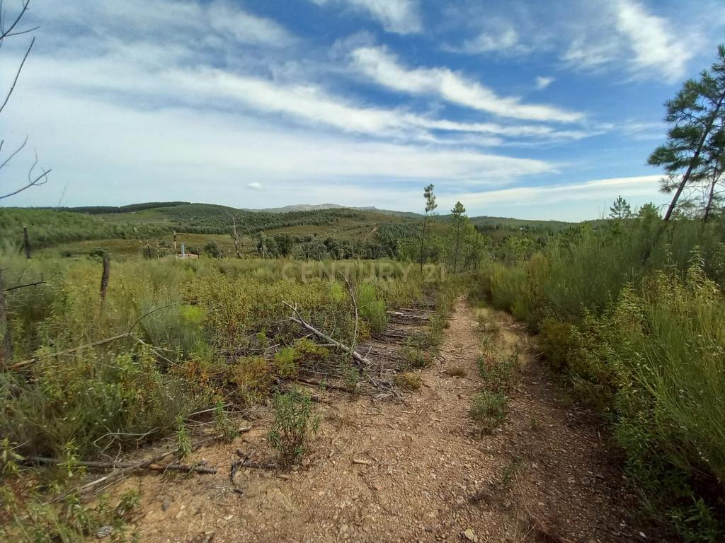 Terreno com 17040m2 em Sobral do Campo - Image 1
