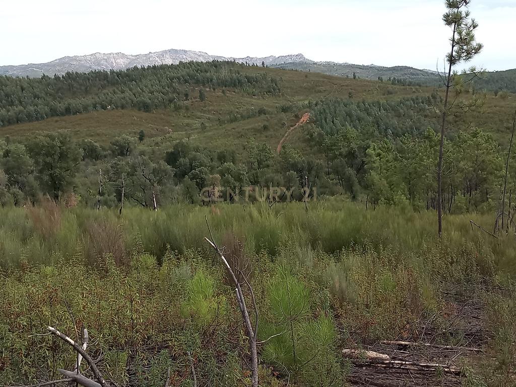 Terreno com 17040m2 em Sobral do Campo - Image 2