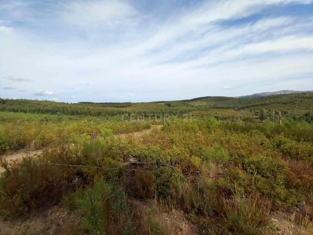 Terreno com 17040m2 em Sobral do Campo - Image 9