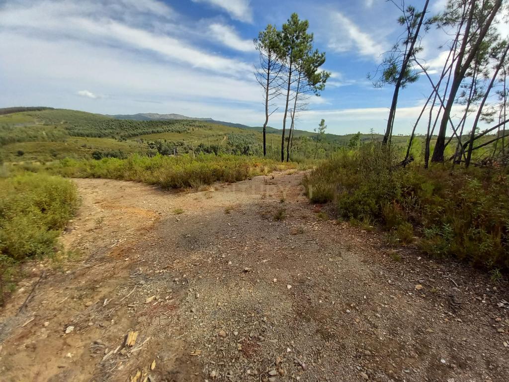 Terreno com 17040m2 em Sobral do Campo - Image 4