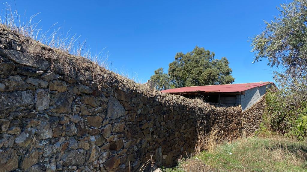 Armazém Agrícola| Openspace em Pedra Zebreira, Idanha-a-Nova - Image 1