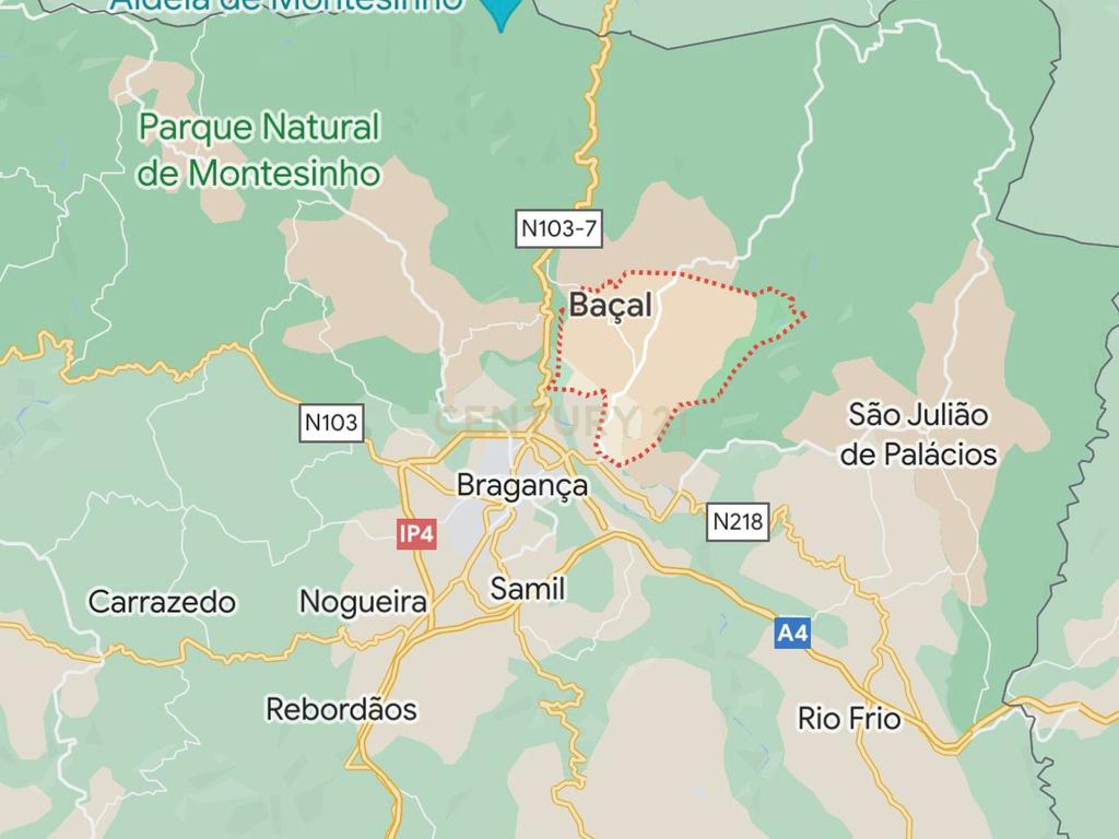 Terreno Rústico de 11.692 m²  – Oportunidade para Jovens Agricultores em Bassal, Bragança - Image 4