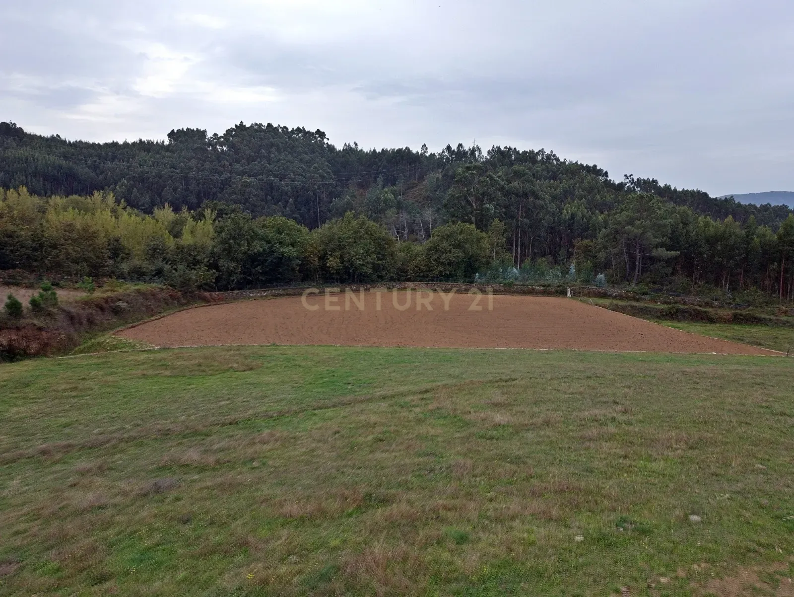 Quinta em Alvarenga, 2 moradias para terminar construção - Passadiços Paiva e Ponte 516 Arouca - Image 15