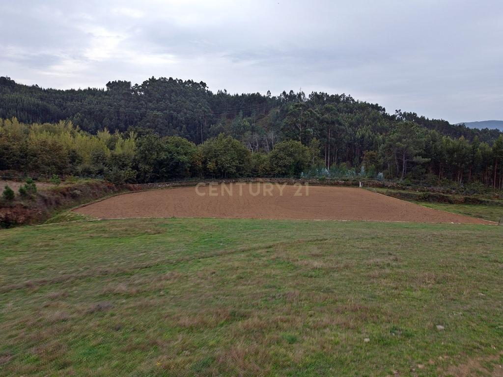 Quinta em Alvarenga, 2 moradias para terminar construção - Passadiços Paiva e Ponte 516 Arouca - Image 15