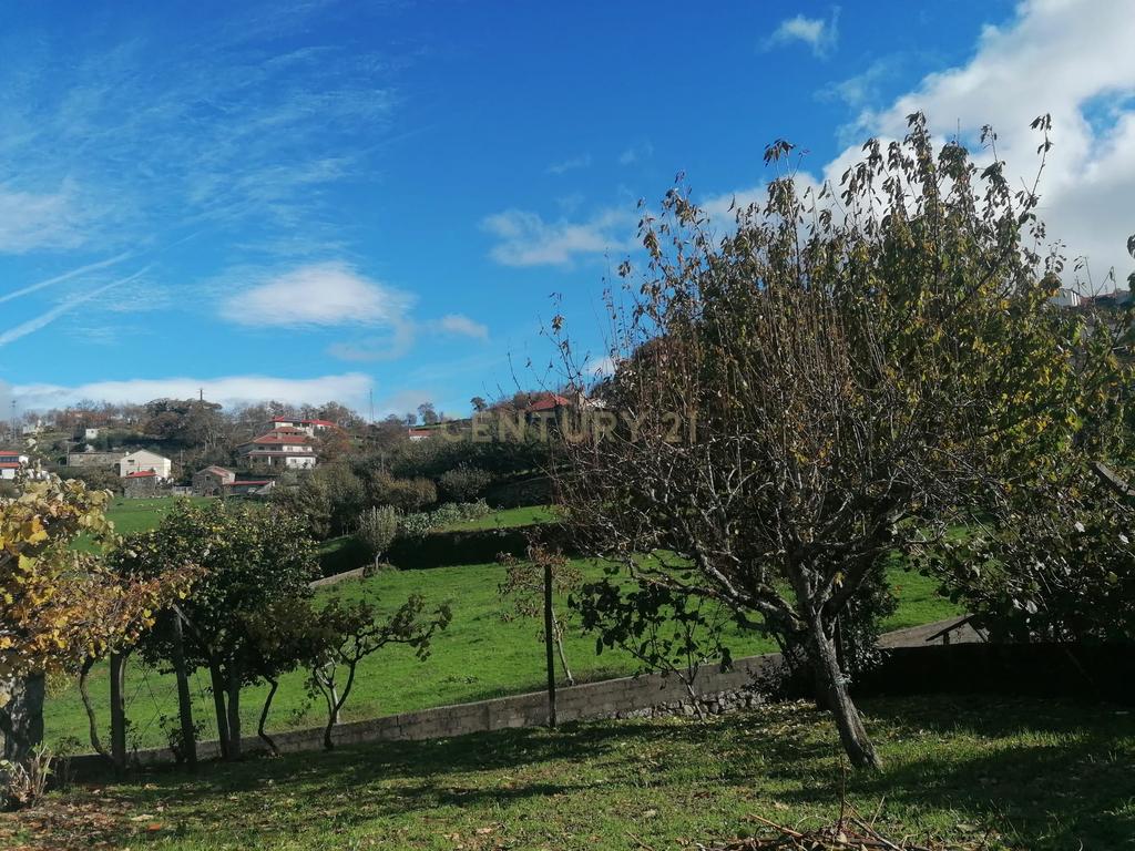 CASA RÚSTICA EM PEDRA I FELGUEIRAS (RESENDE) - Image 22