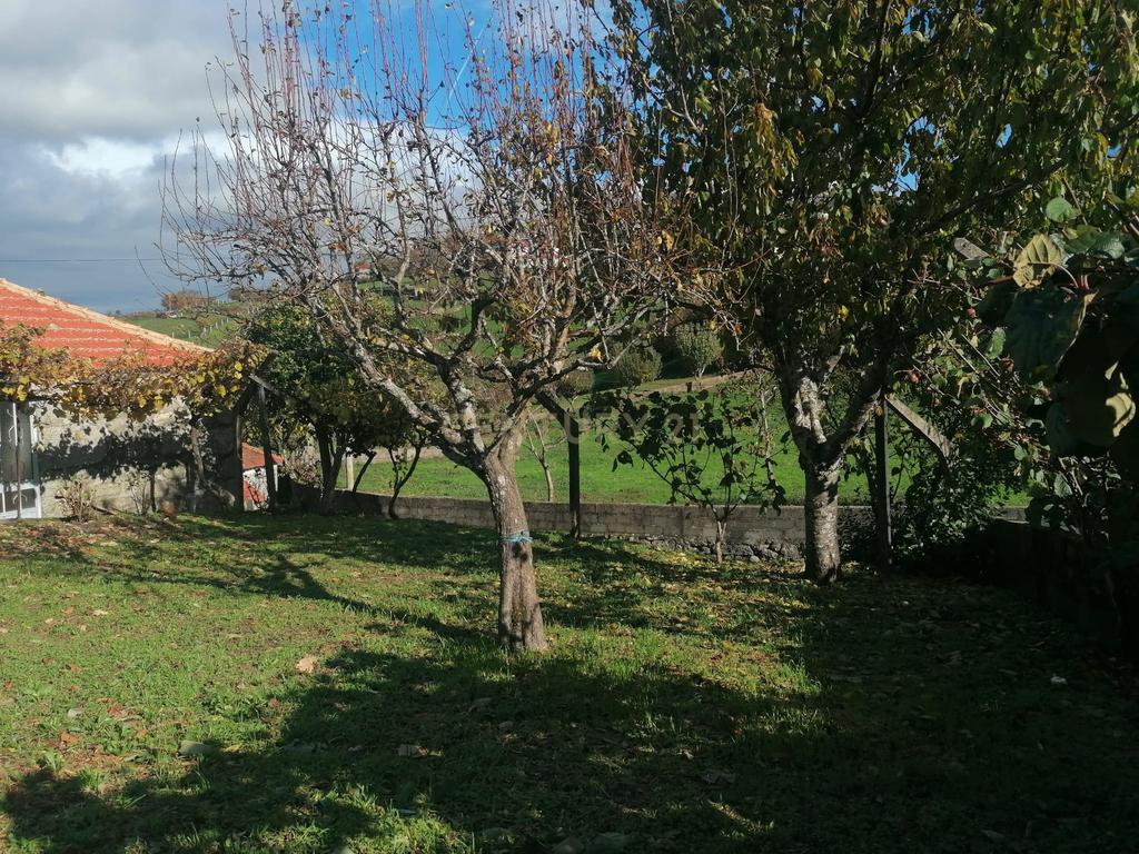CASA RÚSTICA EM PEDRA I FELGUEIRAS (RESENDE) - Image 2