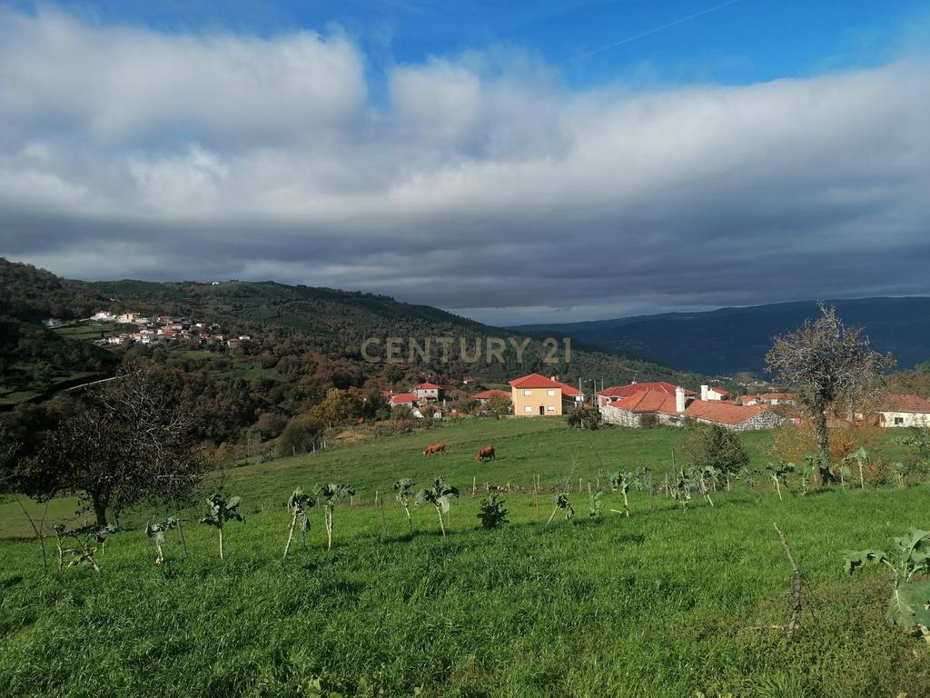 CASA RÚSTICA EM PEDRA I FELGUEIRAS (RESENDE) - Image 33