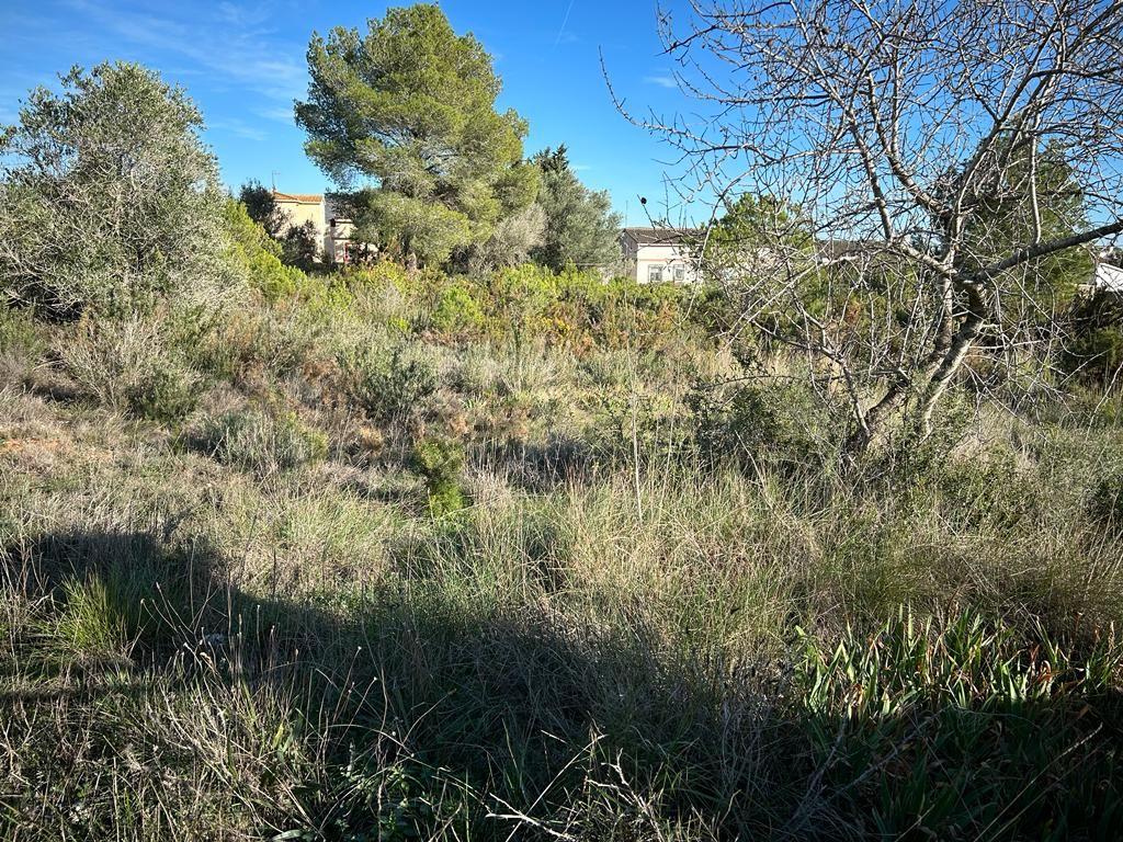 undefined - Image 6
