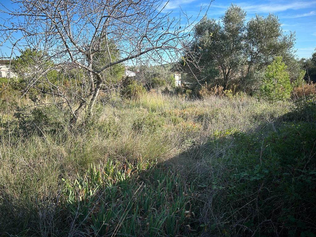 undefined - Image 7