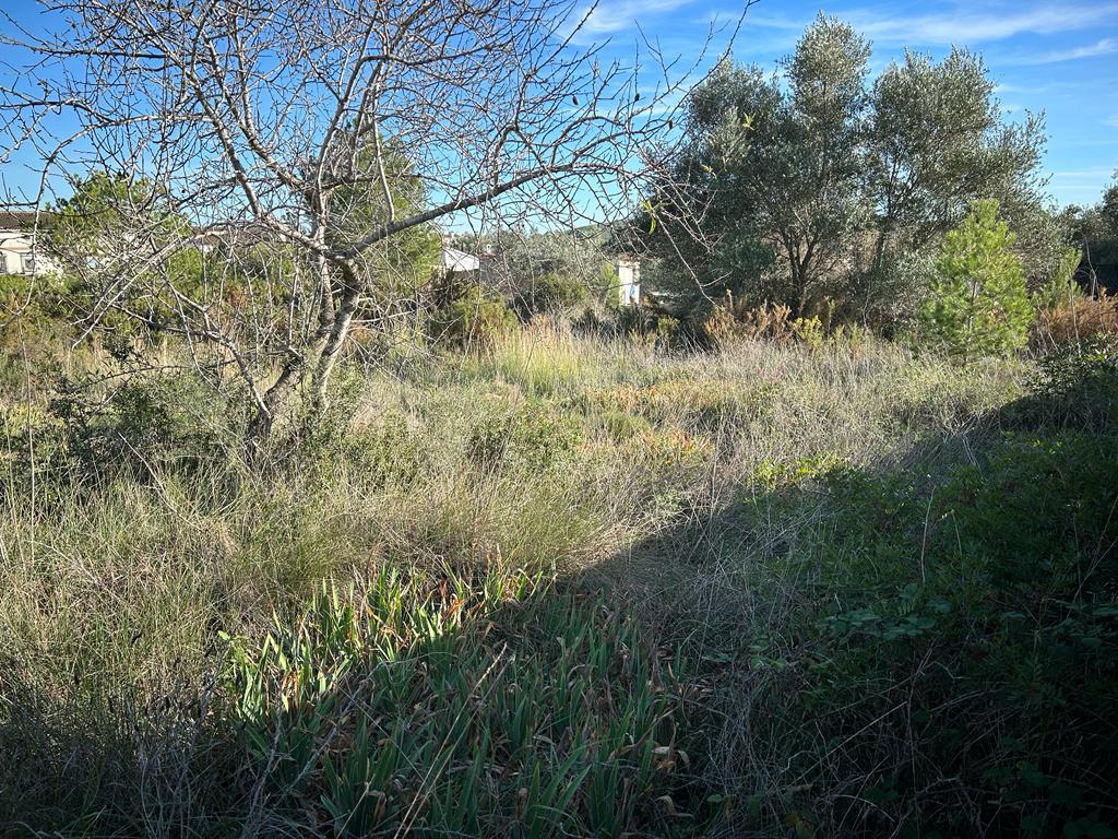 undefined - Image 7