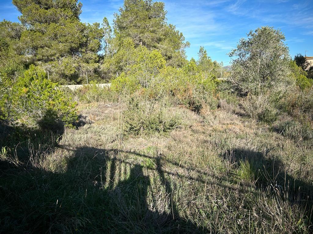 undefined - Image 5