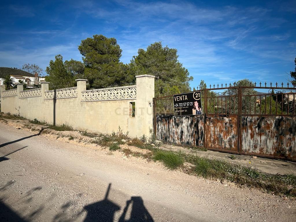 undefined - Image 8