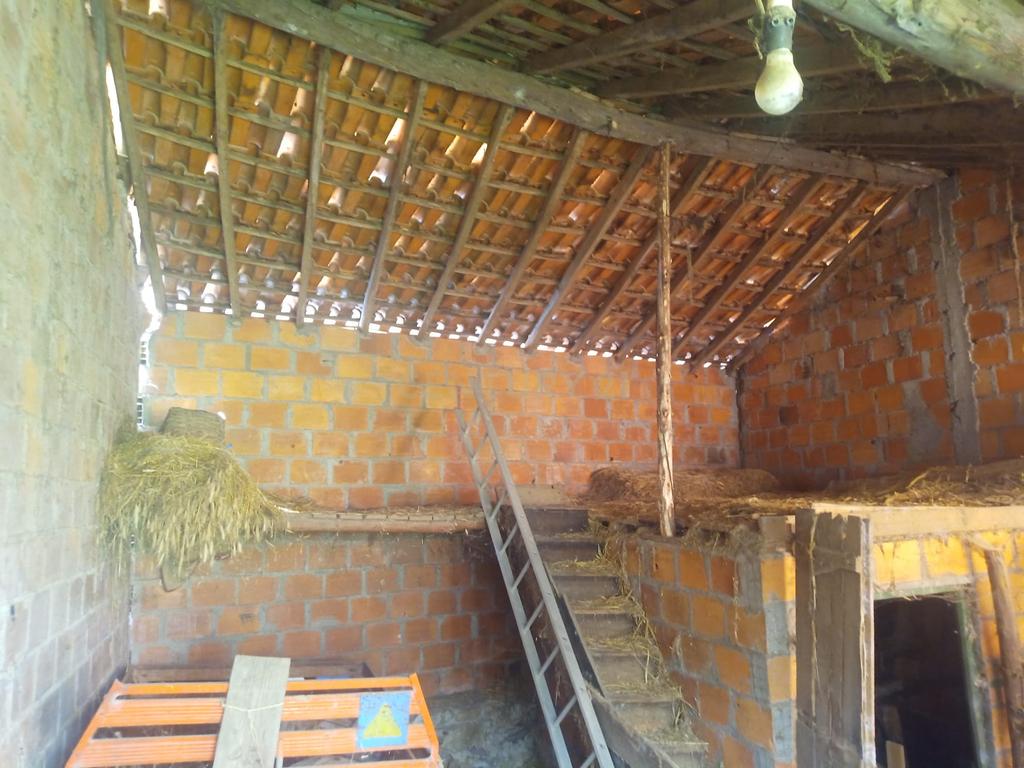 Casa Antiga para recuperar em Salgueiro do Campo, Castelo Branco - Image 8