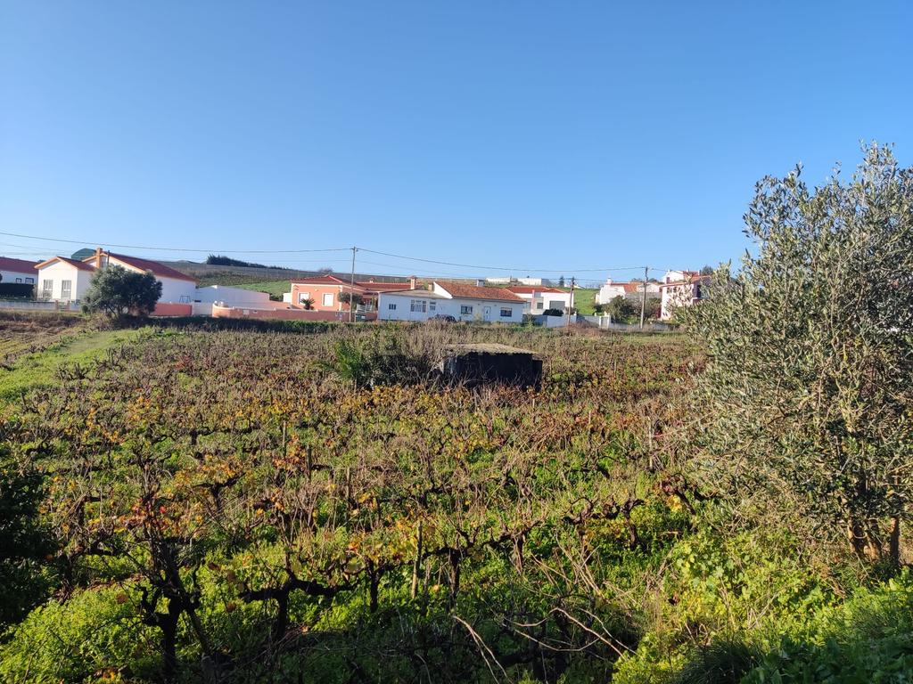 Terreno para construção - Ventosa, Torres Vedras - Image 8