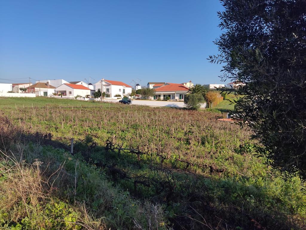 Terreno para construção - Ventosa, Torres Vedras - Image 4