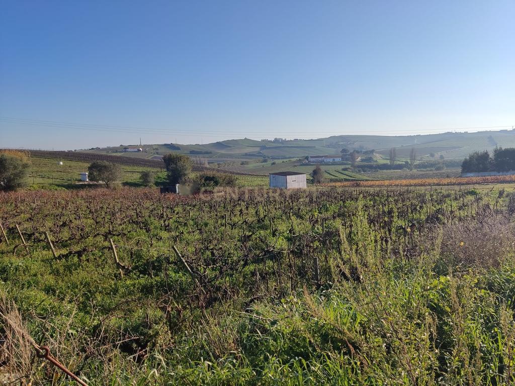 Terreno para construção - Ventosa, Torres Vedras - Image 9