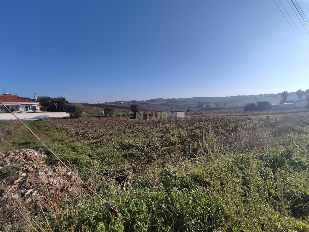 Terreno para construção - Ventosa, Torres Vedras - Image 7