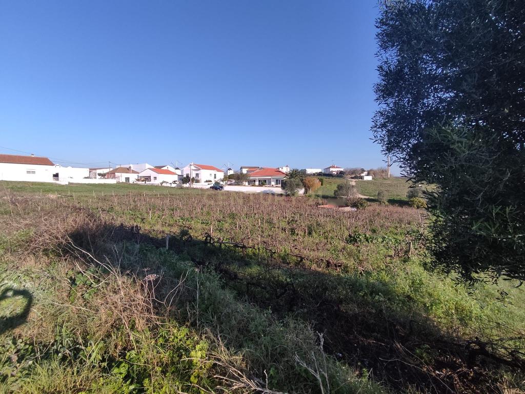 Terreno para construção - Ventosa, Torres Vedras - Image 5