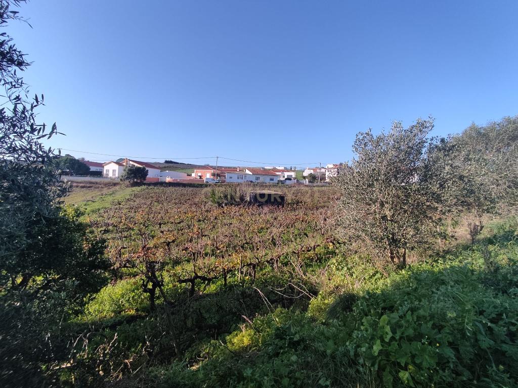 Terreno para construção - Ventosa, Torres Vedras - Image 6