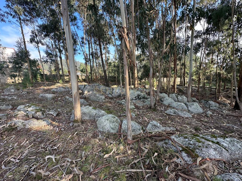 Terreno Urbano em Braga - Oportunidade Única de Construção - Image 3