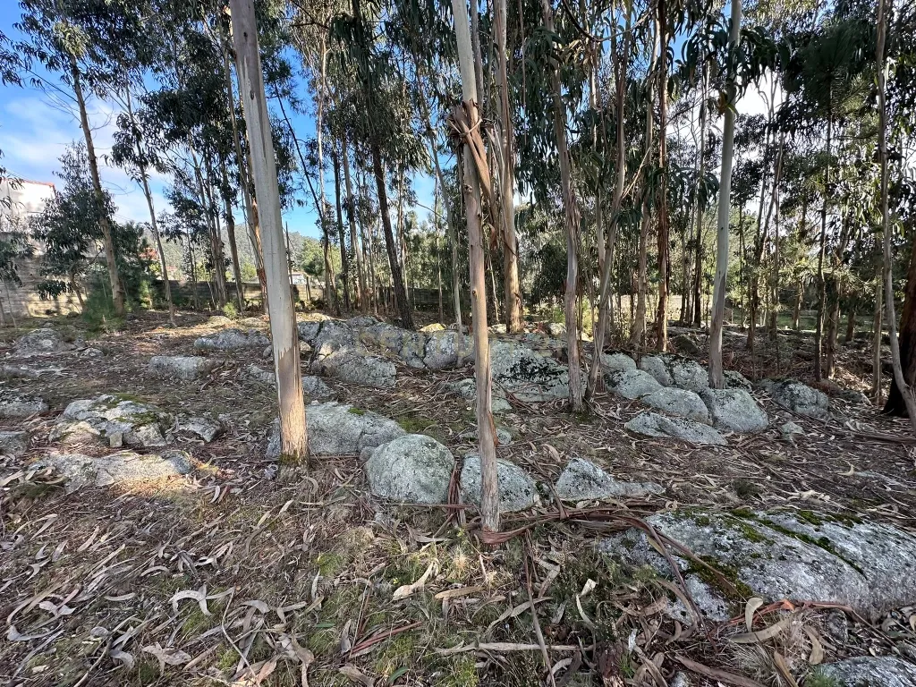 Terreno Urbano em Braga - Oportunidade Única de Construção - Image 3