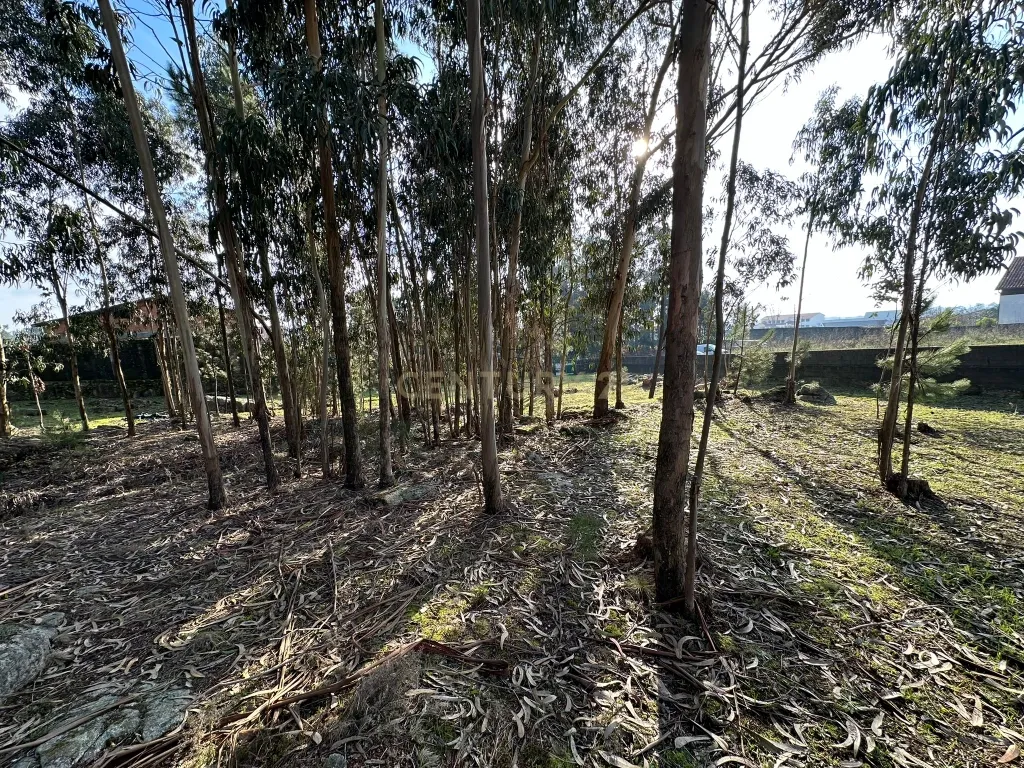 Terreno Urbano em Braga - Oportunidade Única de Construção - Image 11
