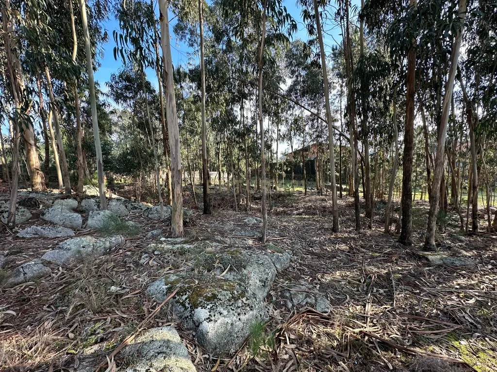 Terreno Urbano em Braga - Oportunidade Única de Construção - Image 5