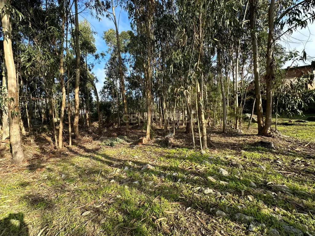 Terreno Urbano em Braga - Oportunidade Única de Construção - Image 4