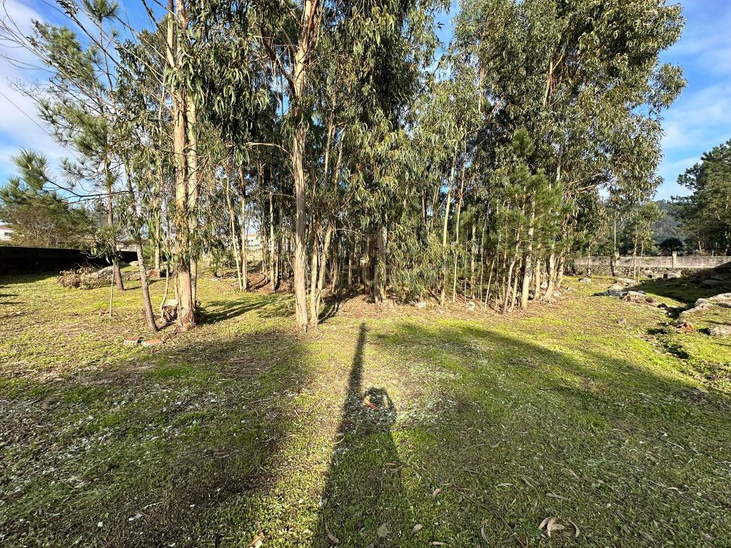 Terreno Urbano em Braga - Oportunidade Única de Construção - Image 9