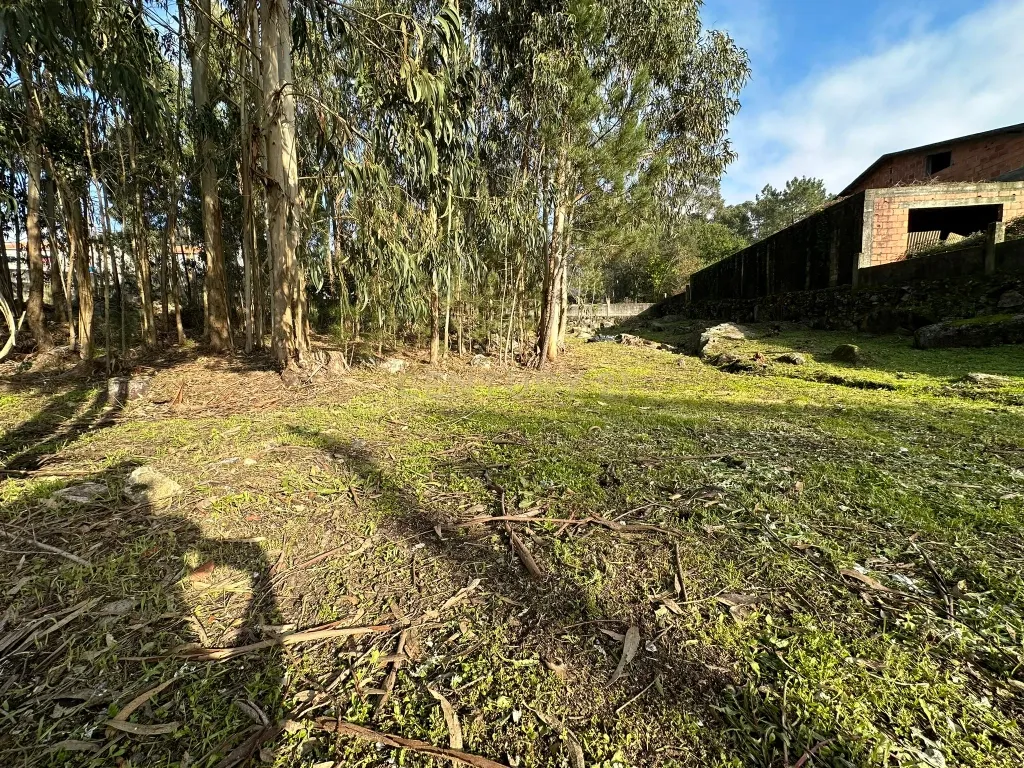Terreno Urbano em Braga - Oportunidade Única de Construção - Image 8