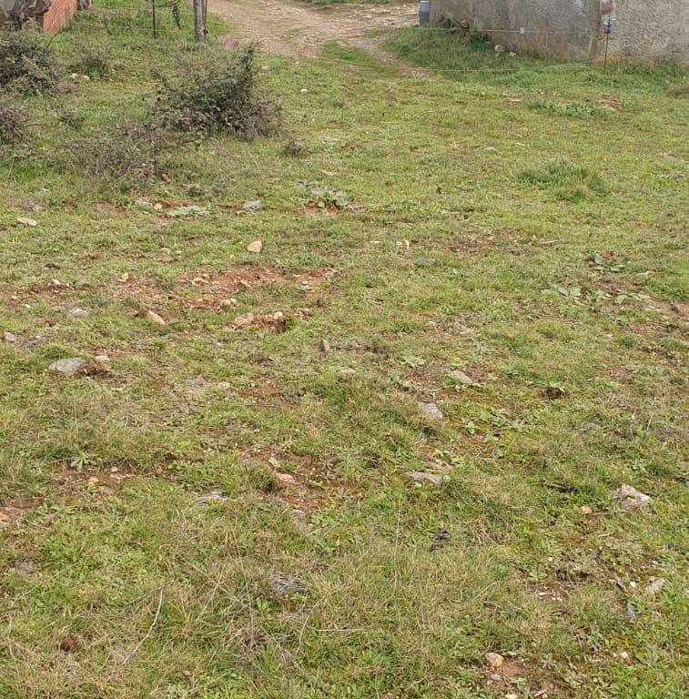 Terreno Rústico de 11.692 m²  – Oportunidade para Jovens Agricultores em Bassal, Bragança - Image 7
